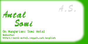 antal somi business card